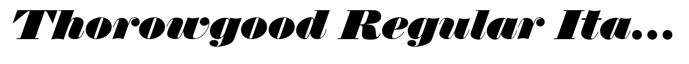 Thorowgood Regular Italic (D) image